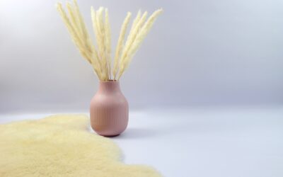 The Rise of Pampas Grass and Its Popularity in Modern Home Decor